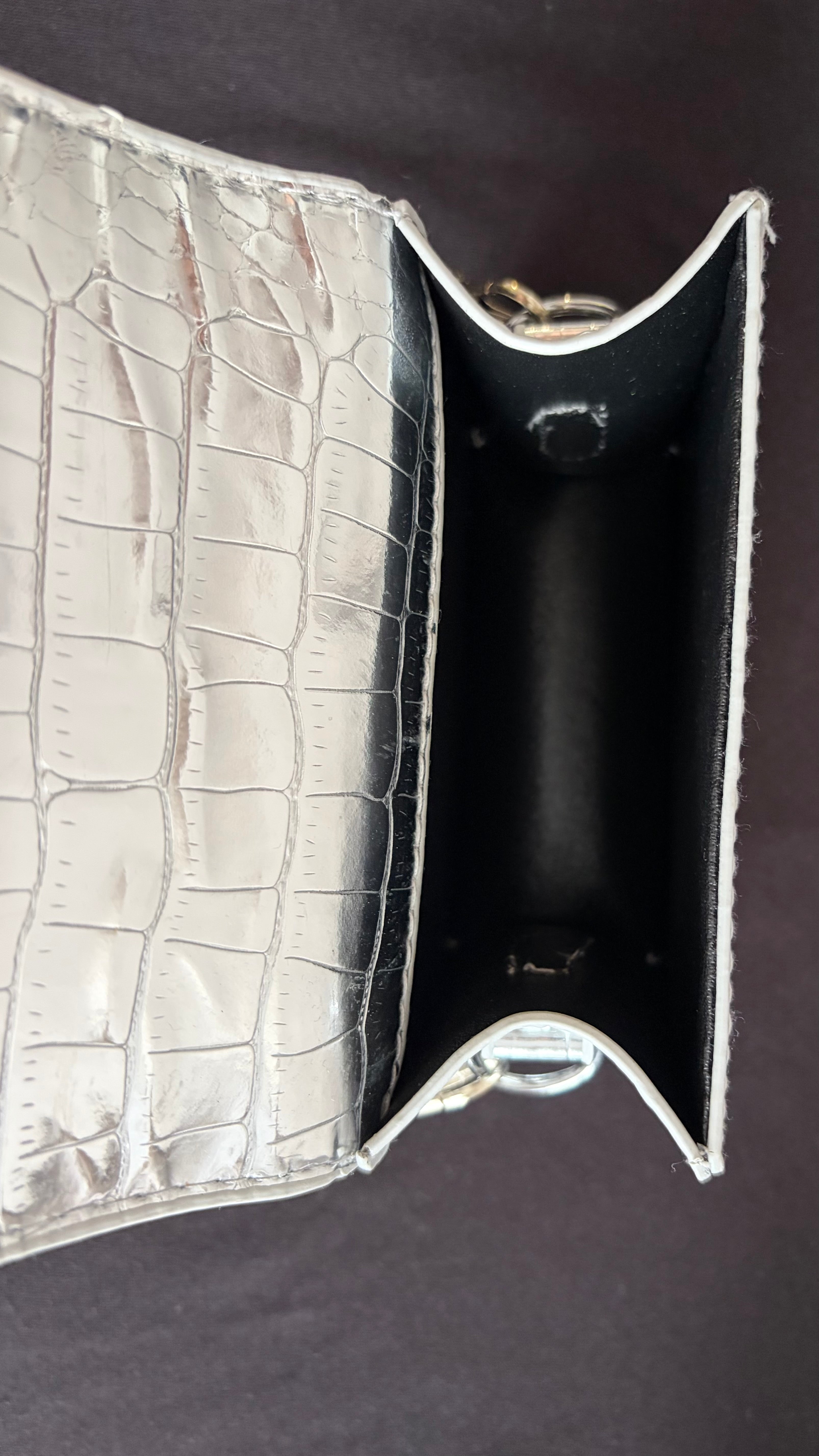 【ERROR.】Metallic Croc Mini Shoulder Bag / Silver